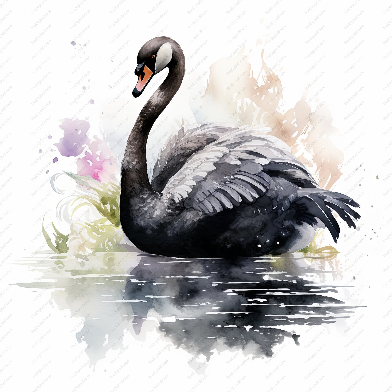 Black Swan Clipart 10 High Quality Jpgs, Scrapbooks, Digital Craft ...