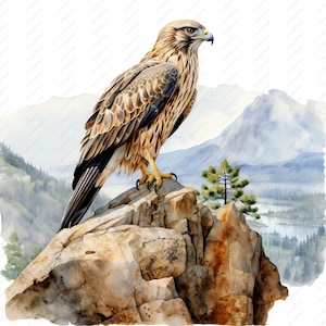 Hawk Clipart - 10 High Quality JPGs, Scrapbooks, Digital Craft, Digital Planners, Junk Journal, Commercial Use, Instant Download
