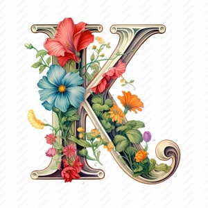 Letra K Clipart - 10 JPG de alta calidad, impresión del alfabeto, álbumes de recortes, artesanía digital, planificadores digitales, diario basura, descarga instantánea