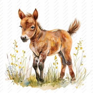 Clipart 10 poulains dans un pré - 10 fichiers JPG de haute qualité, albums de coupures, créations numériques, agendas numériques, journal indésirable, commercial, téléchargement immédiat