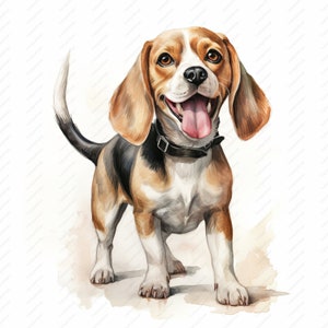 Beagle Dog Clipart - 10 High Quality JPGs, Scrapbooks, Digital Craft, Digital Planners, Junk Journal, Commercial Use, Instant Download