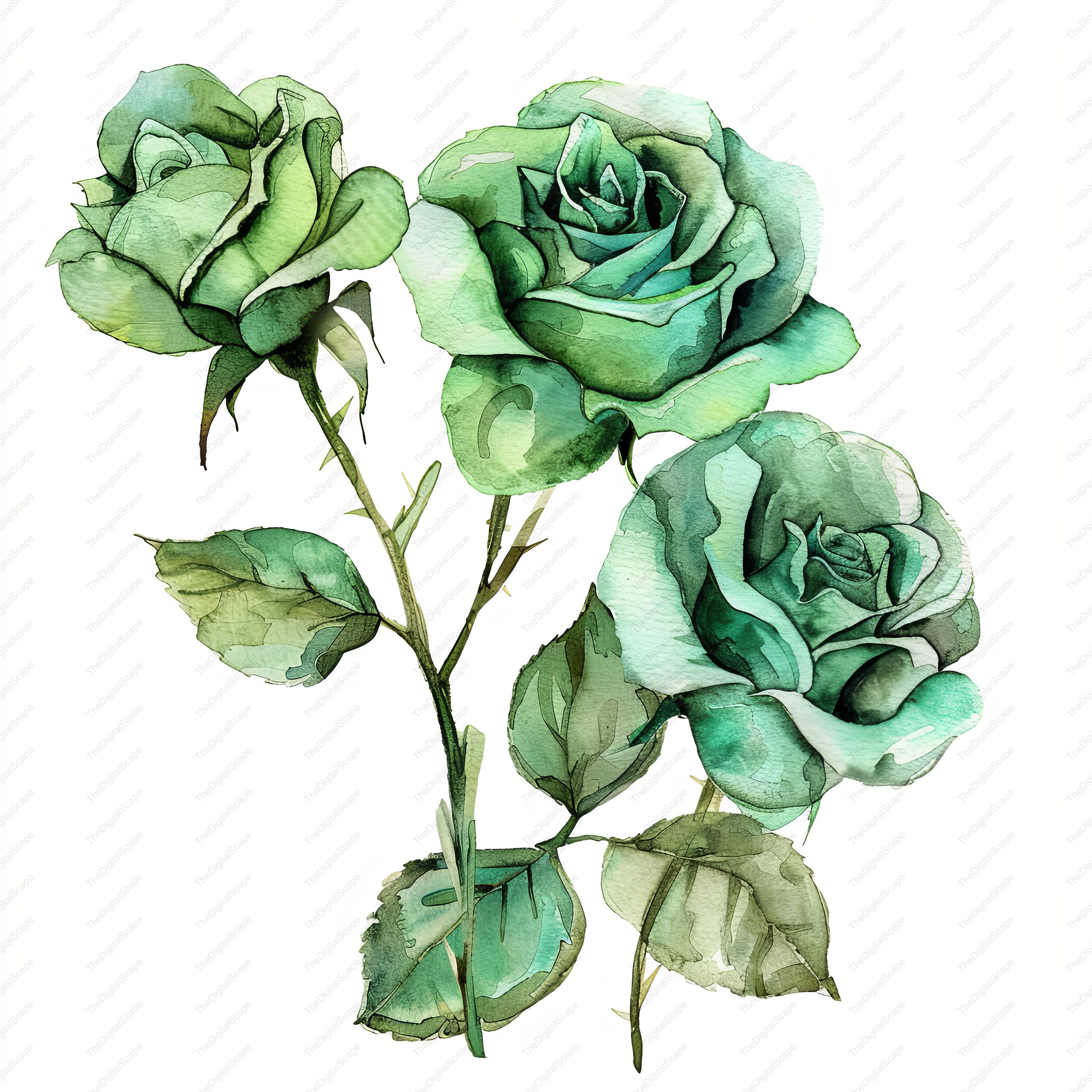 Green Drawn Roses Green Roses Clipart - 10 High Quality Jpgs, Scrapbooks, Digital Craft ...