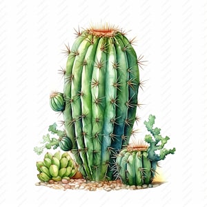 Plantas de cactus - 10 JPG de alta calidad, álbumes de recortes, artesanía digital, planificadores digitales, diario basura, uso comercial, descarga instantánea