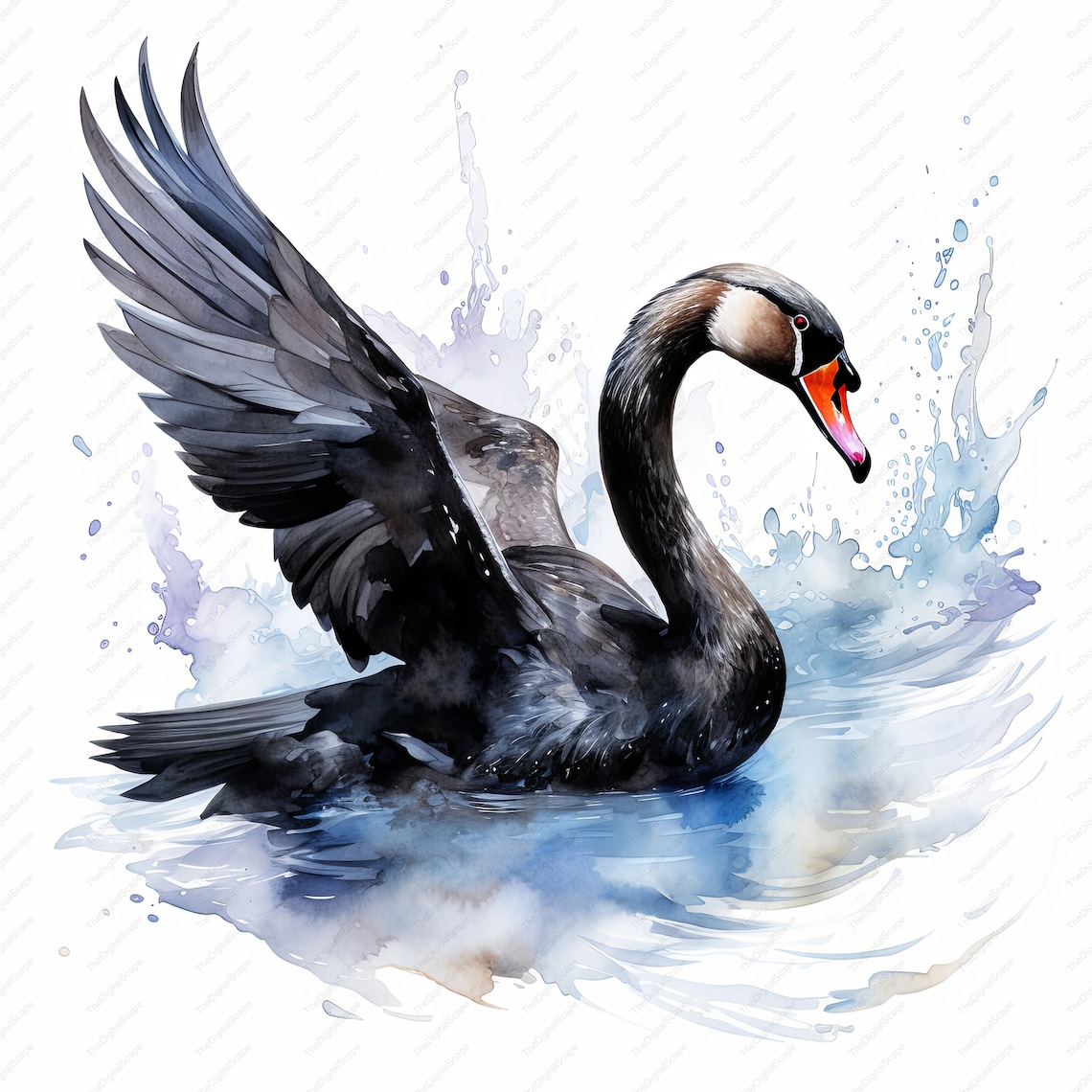 Black Swan Watercolor Clipart – High Quality Jpgs, Commercial Use ...