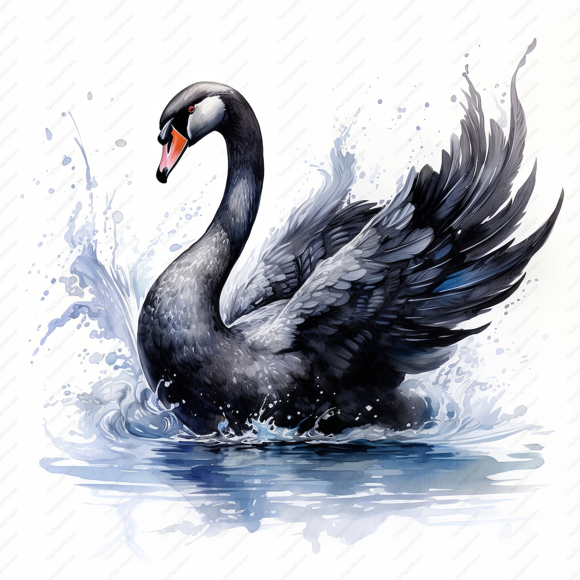 Black Swan Watercolor Clipart – High Quality Jpgs, Commercial Use ...