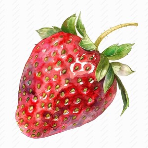 Strawberry Clipart - 10 High Quality JPGs, Scrapbooks, Digital Craft, Digital Planners, Junk Journal, Commercial Use, Instant Download