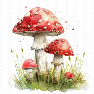 10 cliparts champignons champignon vénéneux - JPG de haute qualité, albums de coupures, créations numériques, agendas numériques, journal indésirable, téléchargement immédiat