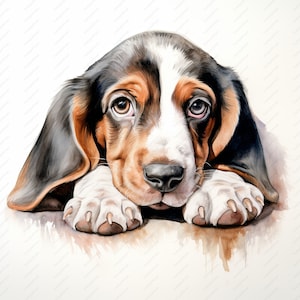 Baby Basset Hound Puppy Clipart - 10 JPG di alta qualità, album di ritagli, artigianato digitale, pianificatori digitali, diario spazzatura, download istantaneo