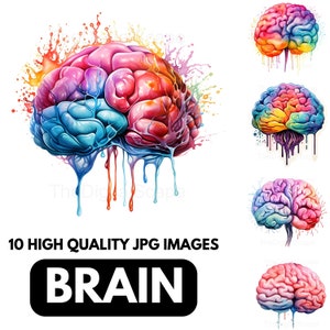 May include: A colorful brain illustration with paint dripping from it. The brain is surrounded by colorful paint splatters. The text "10 HIGH QUALITY JPG IMAGES BRAIN" is below the image.