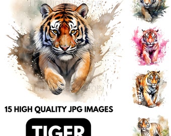 Tiger Clipart – Akvarell djurkonst, Scrapbook-grafik (JPG, kommersiellt bruk)