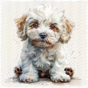 10 witte poedel puppy clipart-hoge kwaliteit JPG's, plakboeken, digitale ambachtelijke, digitale planners, ongewenste Journal, commerciële, Instant Download