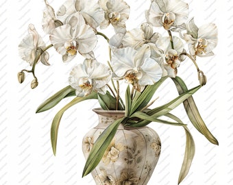 May include: A bouquet of white orchids in a cream-colored vase with a floral pattern. The vase has a rounded shape and a delicate design.