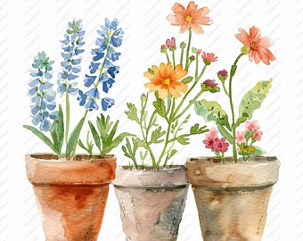May include: Three terracotta pots with different flowers. The pot on the left has blue flowers, the middle pot has orange flowers, and the pot on the right has pink flowers.
