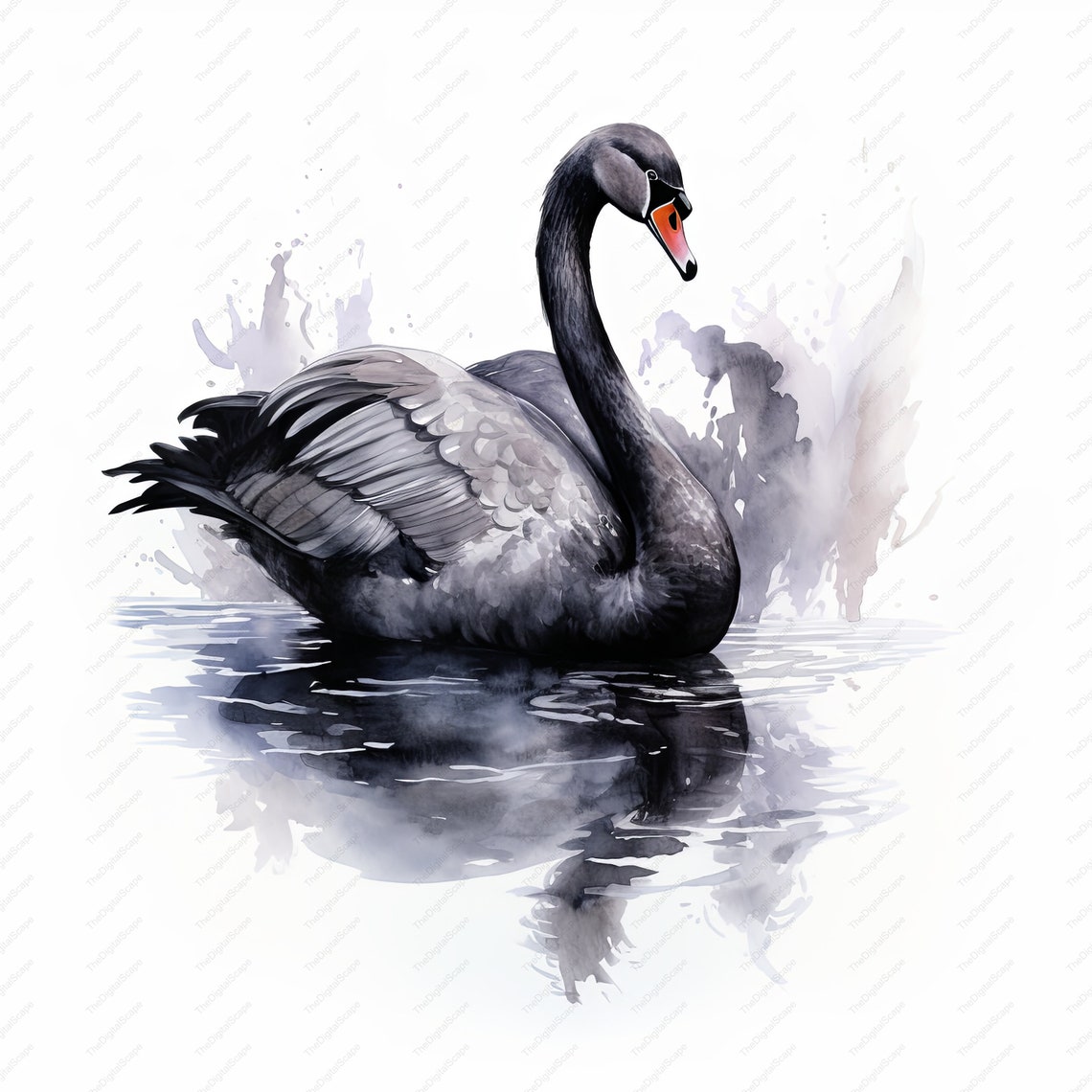 Black Swan Watercolor Clipart – High Quality Jpgs, Commercial Use ...