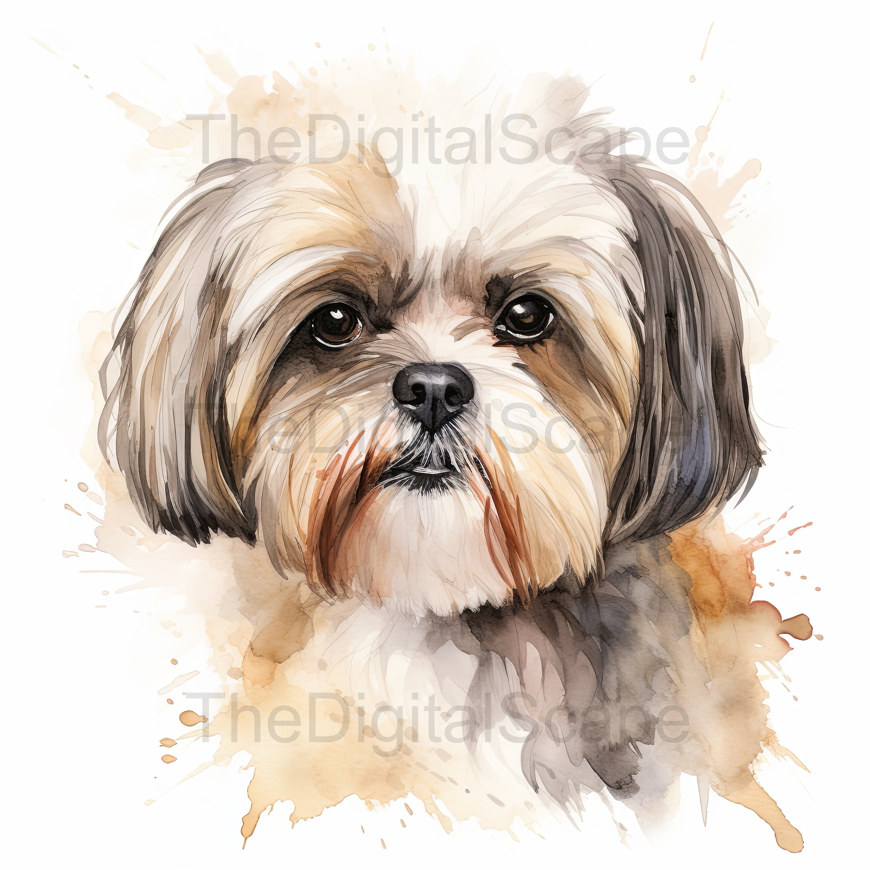 Shih Tzu Watercolor Clipart – High Quality Jpgs (digital Download) - Etsy