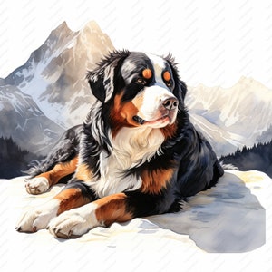 Berner Sennenhund Clipart - 10 hochwertige JPGs, Scrapbooks, digitales Handwerk, digitale Planer, Junk Journal, kommerziell, Sofort Download