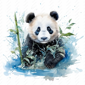 Panda Clipart - 10 JPG di alta qualità, album di ritagli, artigianato digitale, pianificatori digitali, diario spazzatura, uso commerciale, download istantaneo