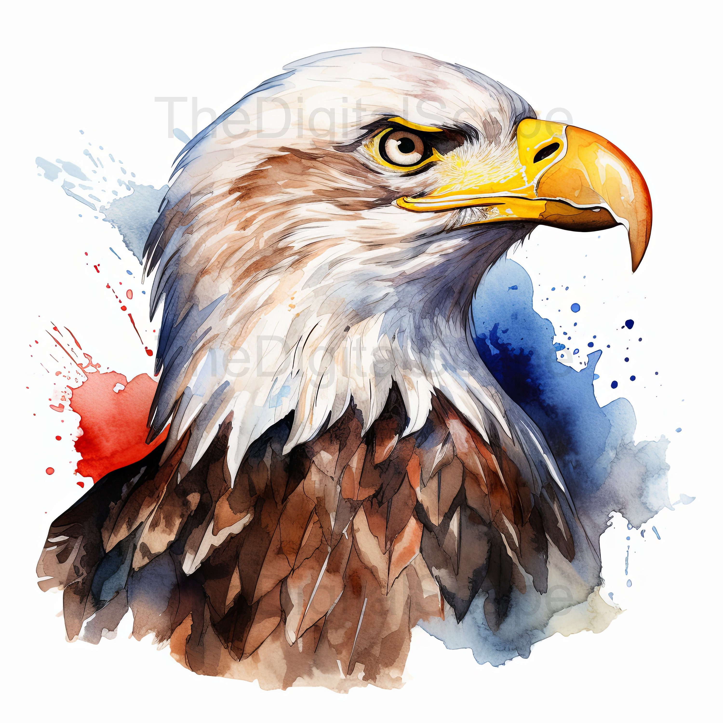 白頭ワシの水彩画クリップアート：愛国的な芸術、商用利用可（即時
