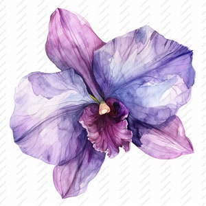 10 paarse orchidee aquarel bloem clipart-hoge kwaliteit JPG's, plakboeken, digitale ambachtelijke, digitale planners, ongewenste Journal, Instant Download