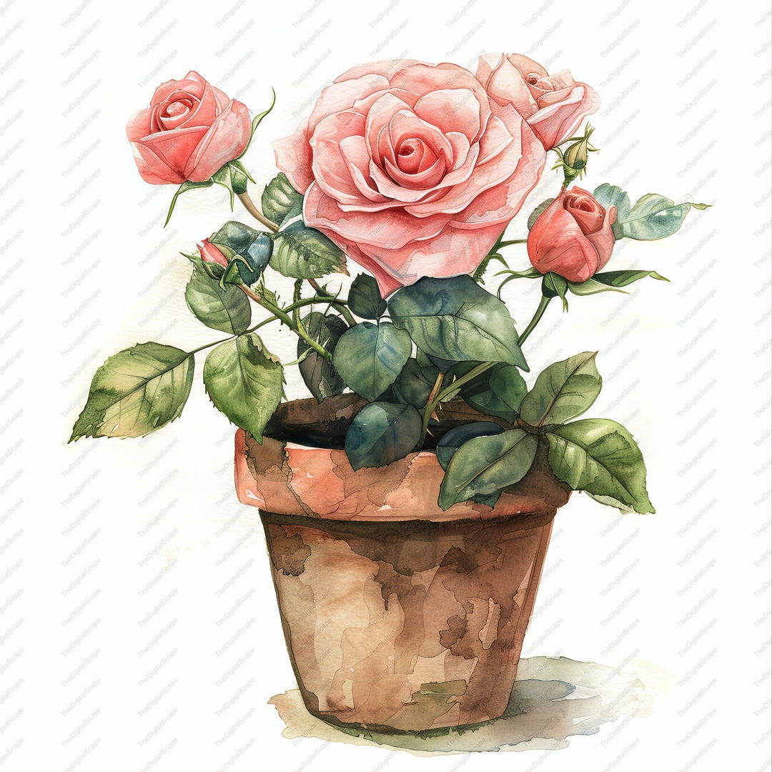 Watercolor Roses Flower Pot Clipart – High Quality Jpgs (instant ...