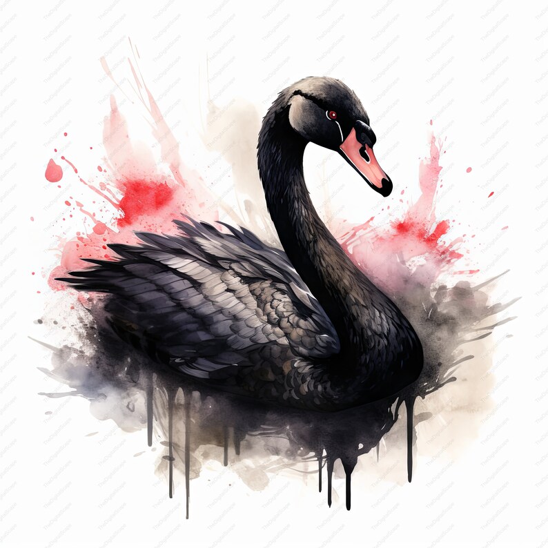 Black Swan Watercolor Clipart – High Quality Jpgs, Commercial Use ...