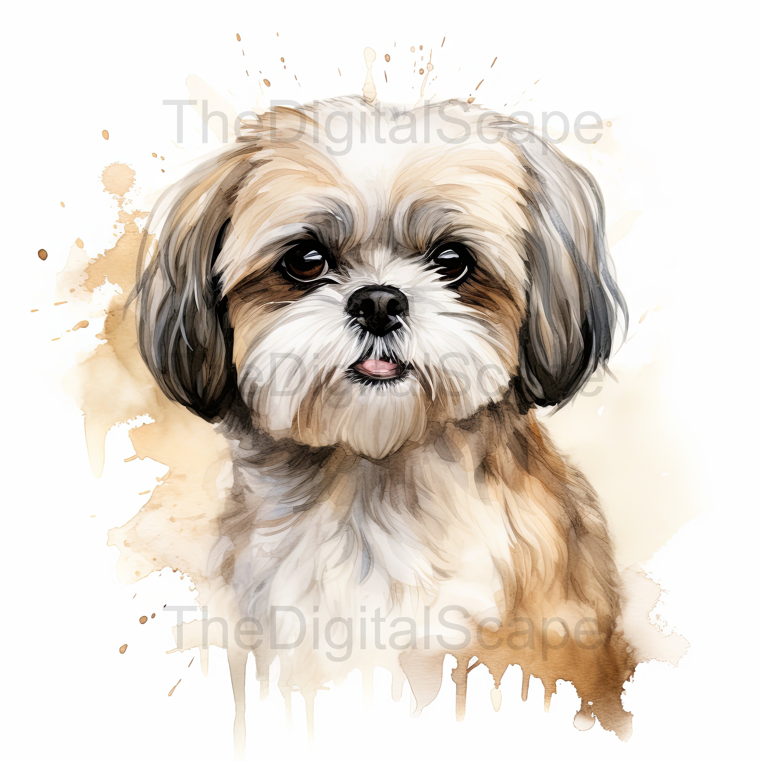 Shih Tzu Watercolor Clipart – High Quality Jpgs (digital Download) - Etsy