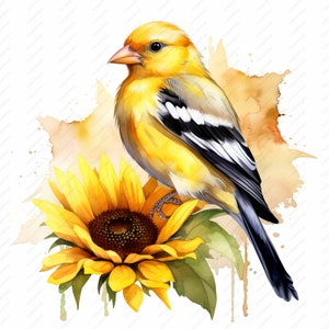 Gold Finch Clipart - 10 High Quality JPGs, Scrapbooks, Digital Craft, Digital Planners, Junk Journal, Commercial Use, Instant Download