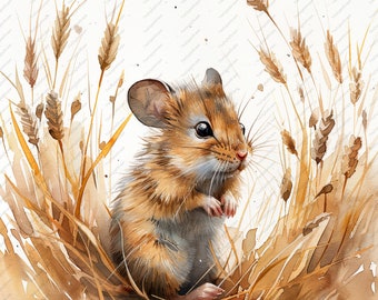 Field Mouse Clipart - High Quality JPGs for Commercial Use (Instant Download)
