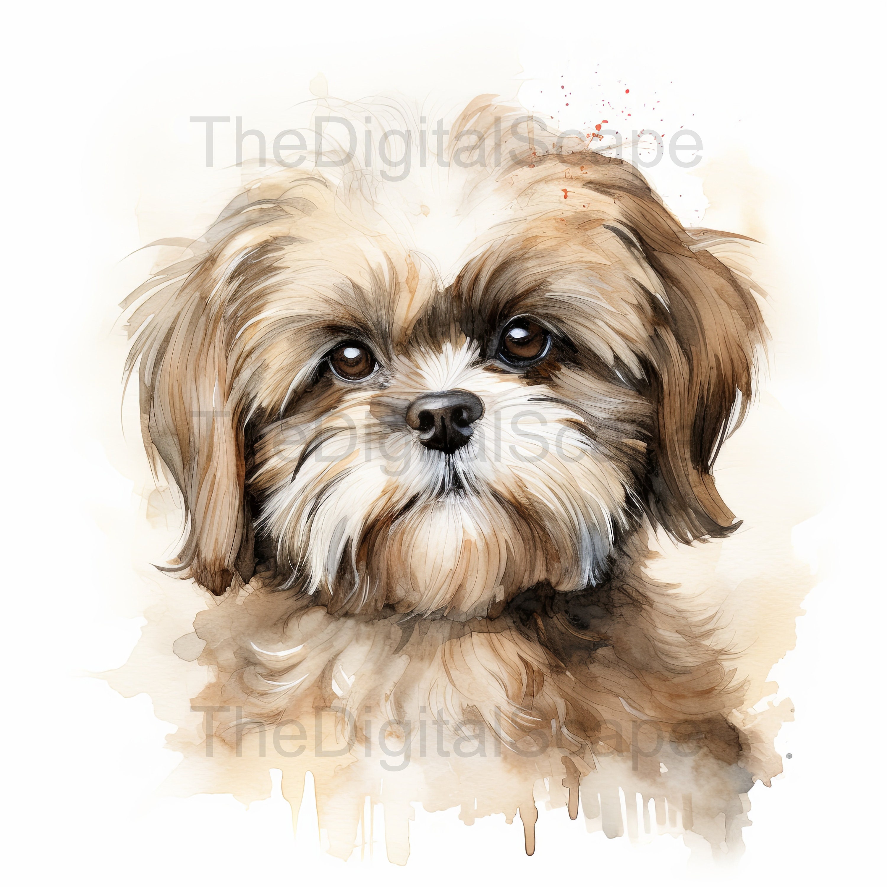Shih Tzu Watercolor Clipart – High Quality Jpgs (digital Download) - Etsy