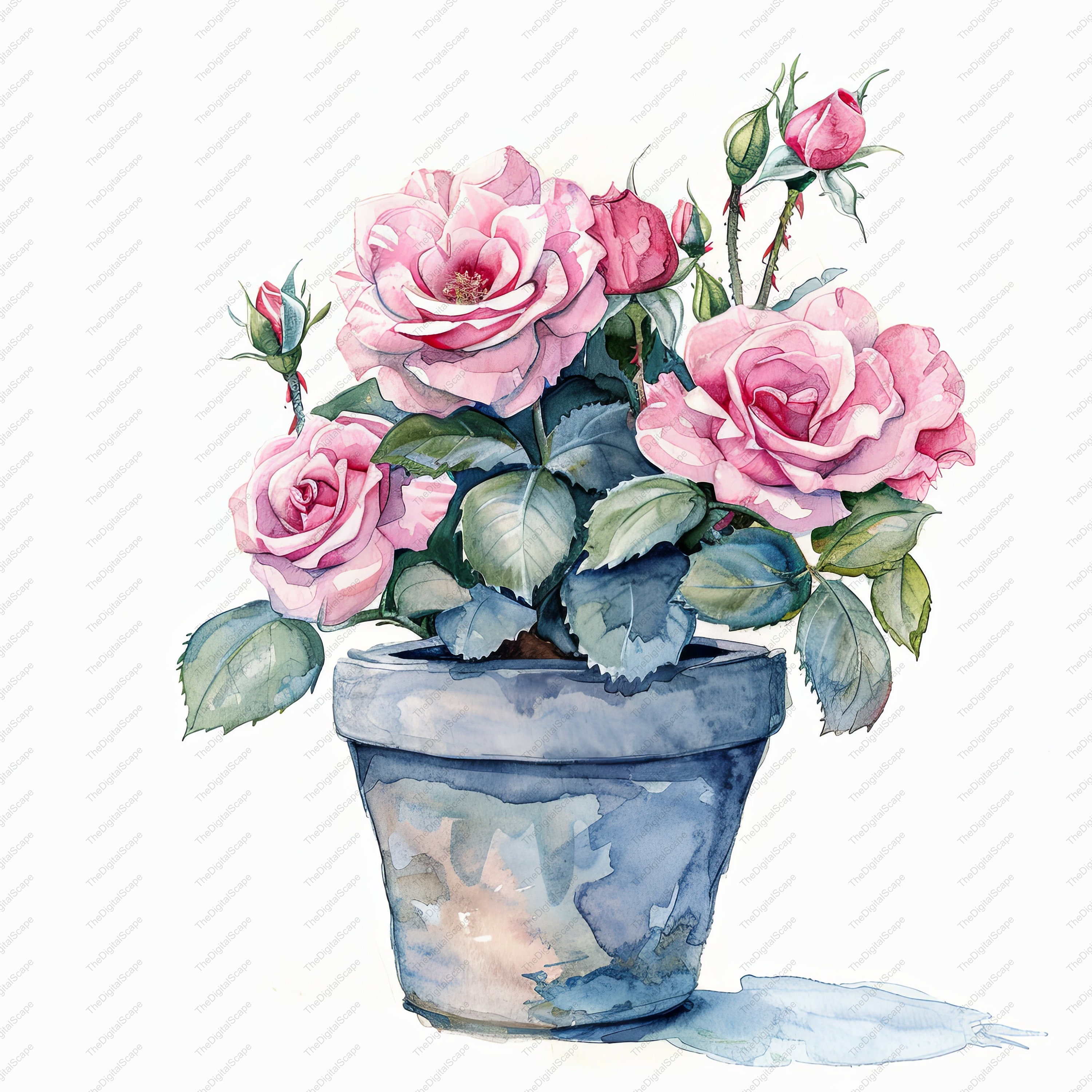 Roses in a Flower Pot Clipart 10 High Quality Jpgs, Scrapbooks, Digital ...