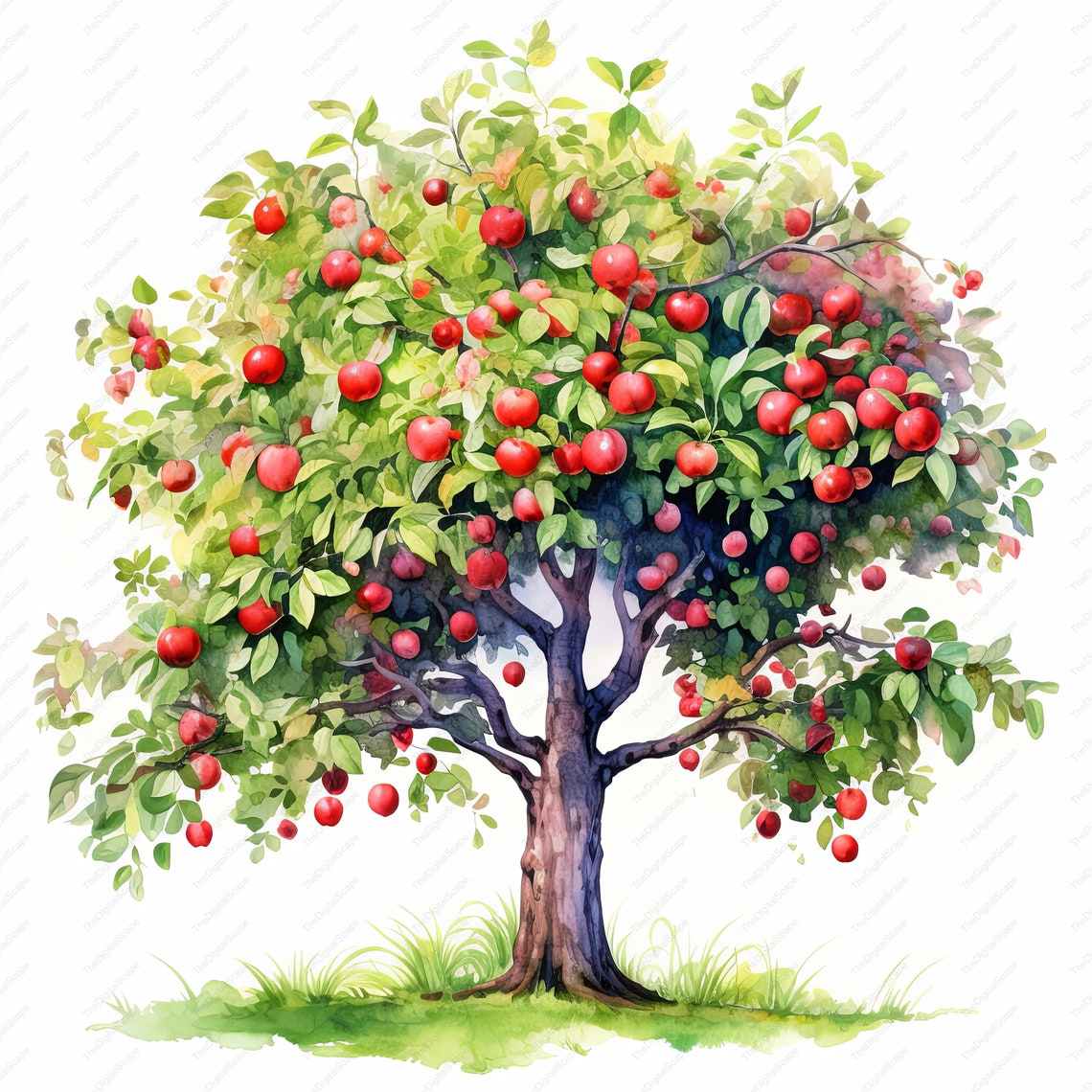 Apple Tree Clipart – High Quality Jpgs, Commercial Use (instant ...