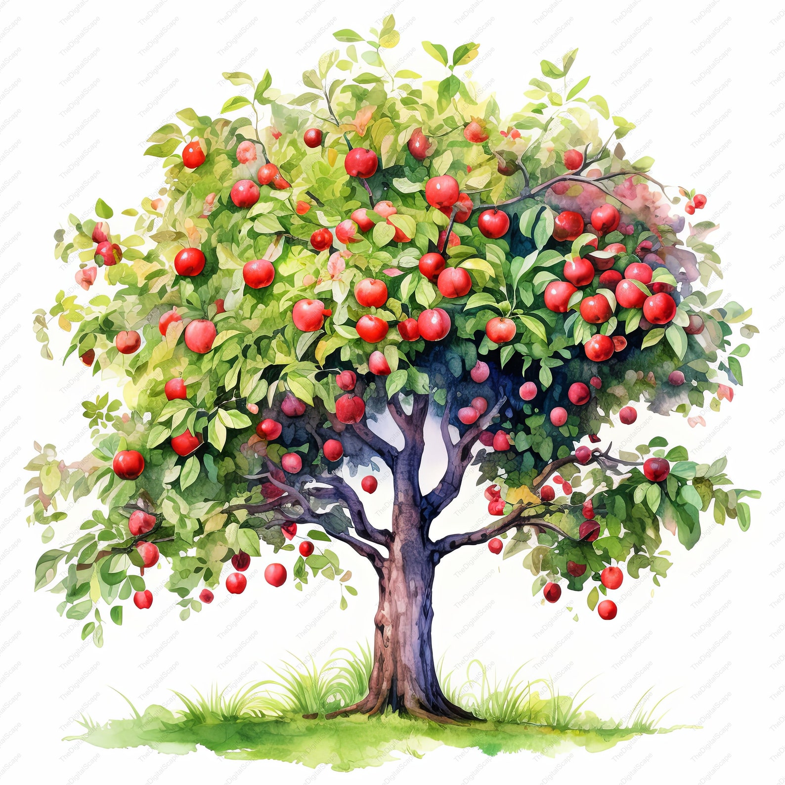 Apple Tree Clipart – High Quality Jpgs, Commercial Use (instant ...