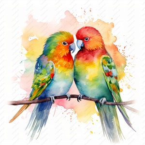Lovebirds Clipart - 10 High Quality JPGs, Scrapbooks, Digital Craft, Digital Planners, Junk Journal, Commercial Use, Instant Download