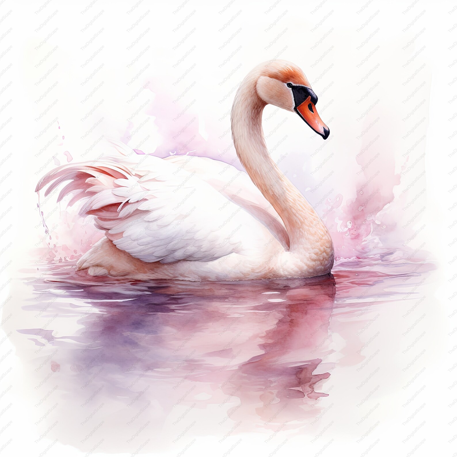Swan Watercolor Clipart – High Quality Jpgs for Commercial Use (instant ...
