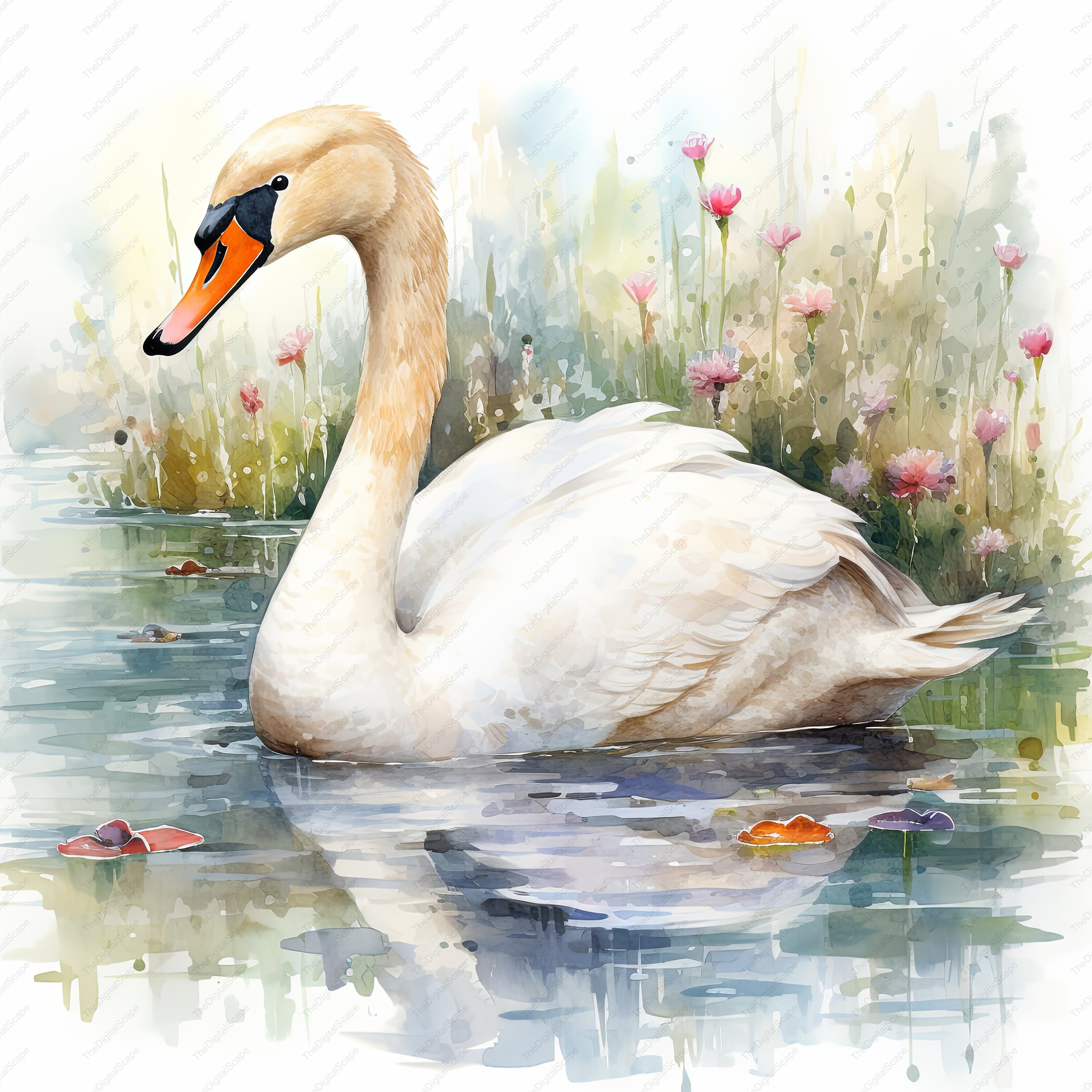 Swan Watercolor Clipart – High Quality Jpgs for Commercial Use (instant ...