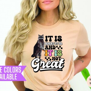 It&#39;s Not Great Shirt, Funny T Shirt, Raccoon T Shirt, Sarcastic T Shirt, Anxiety Shirt, Meme T Shirt