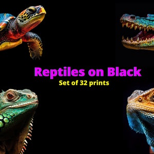 Nature&#39;s Wonders: Collection of 32 Exquisite Reptiles and Amphibians Art Prints | Gallery Wall Art Set | Unique Digital Download Wall Decor