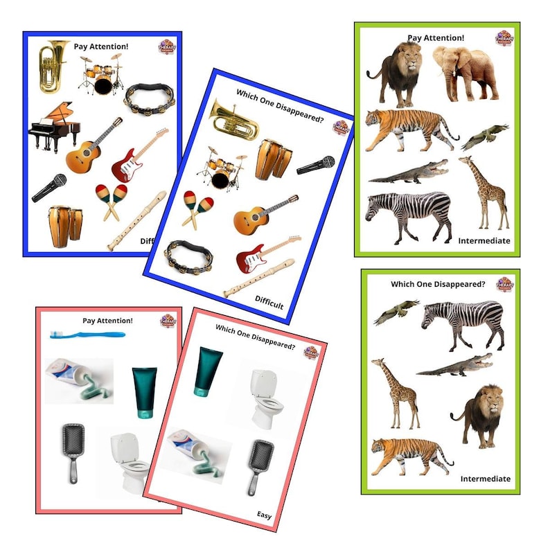 Which One Disappeared Memory Cards for Adults and Seniors, Game for