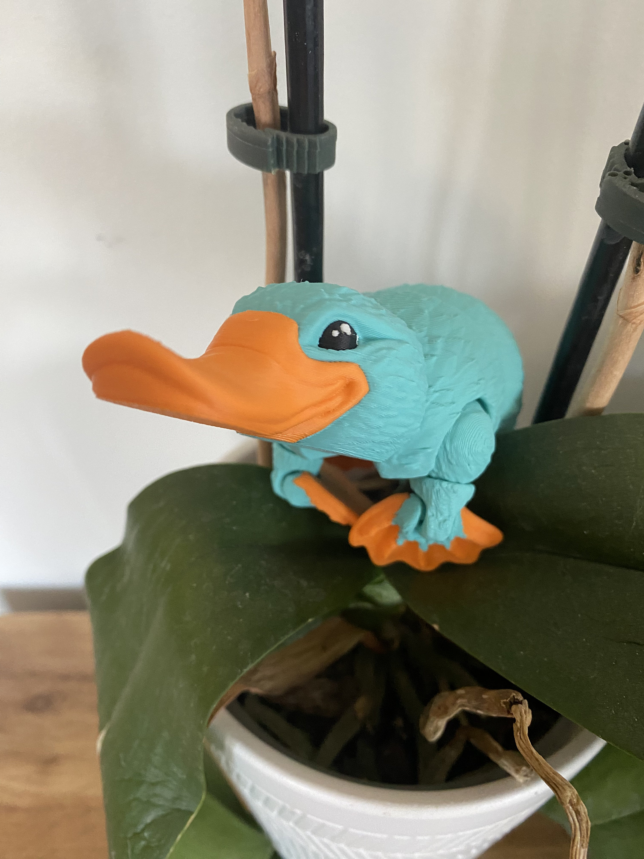 Générique Ornithorynque en peluche, jouet en peluche ornithorynque | Oreiller ornithorynque mignon,Adorable animal en peluche ornithorynque – Câlins réconfortants – Jouet animal doux pour Générique Ornithorynque en peluche, jouet en peluche ornithorynque | Oreiller ornithorynque mignon,Adorable animal en peluche ornithorynque – Câlins réconfortants – Jouet animal doux pour