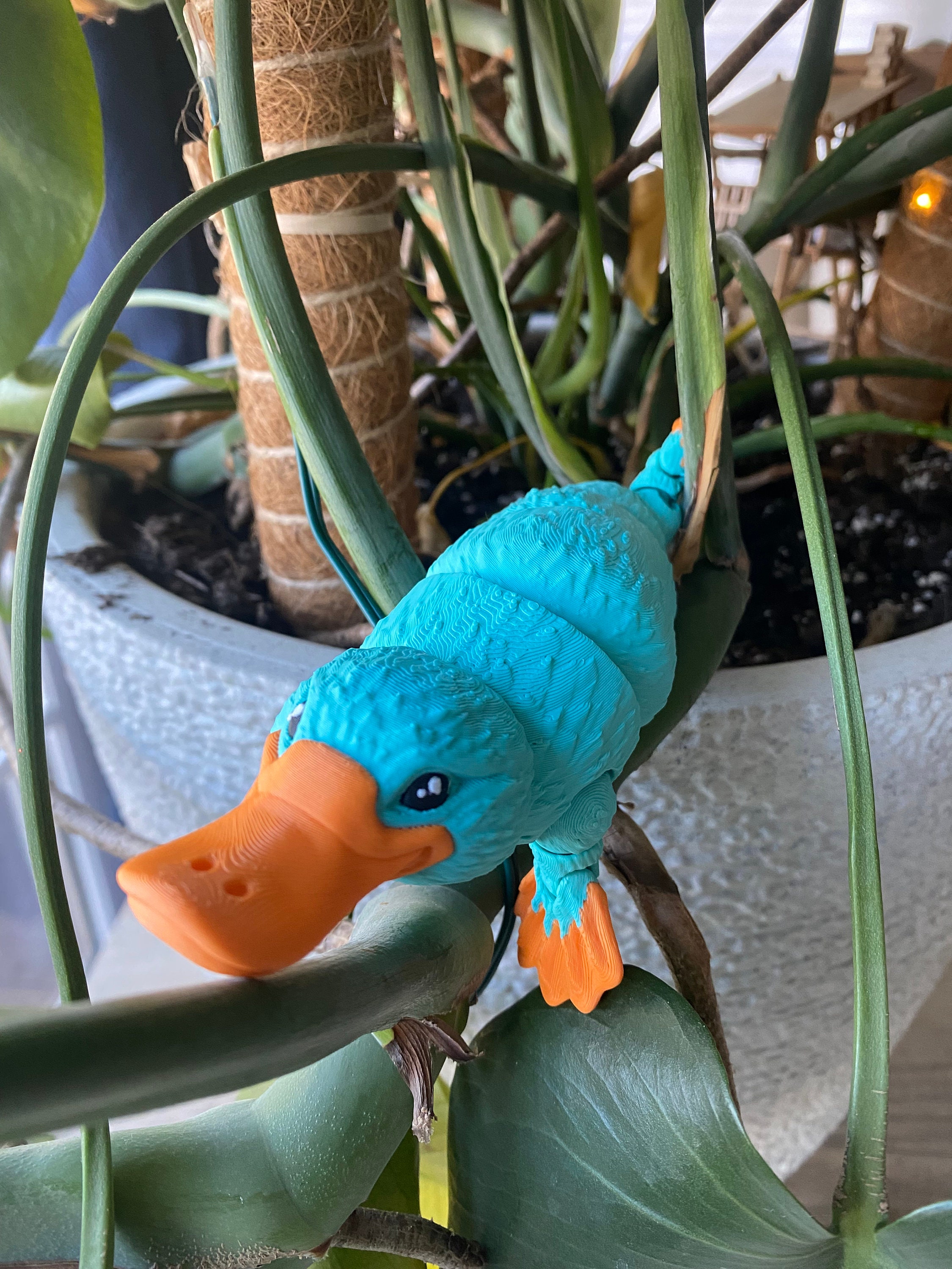 レア ⭐️MEFFERT’S Platypus Color Collection Large Articulated Platypus 3D Printed Figure With Removable Hat