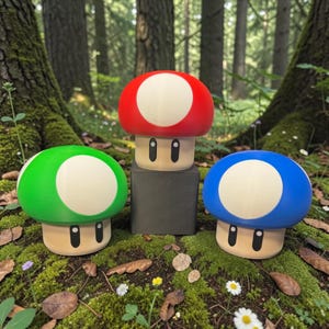 Barattolo per funghi / Contenitore per la conservazione /