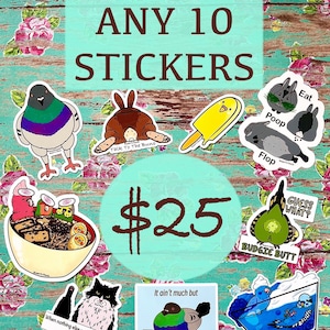 ANY 10 Bundle Funny cute vinyl waterproof weatherproof laptop journal stickers | Sticker Pack | bird bunny meme dessert foodie sticker