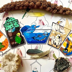 Parrot Stickers | Bird stickers | Sticker for Laptop | Water Bottle Sticker | Bird Dessert Stickers | Waterproof Sticker