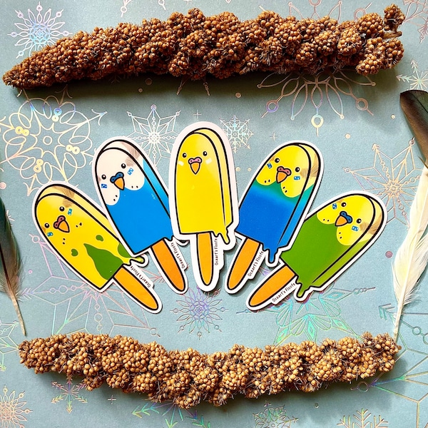 Budgie Popsicle stickers | funny and cute vinyl weatherproof water bottle stickers | Dessert stickers
