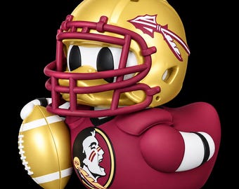 THE SEMINOLE DUCK