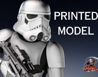 Fan Art Stormtrooper 3D printed model.