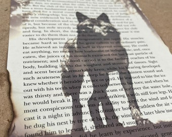 Wilderness Book Page Art Jack London La llamada de la máquina de escribir salvaje Western Wolf Deer Eagle Print Reciclado Vintage Collage Libro Upcycled