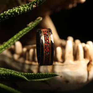 May include: A black ring with a faceted design, featuring a central band of red and gold accents. The ring is set against a blurred background with a skull and green plant.
