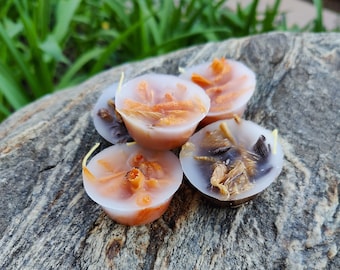 WoodWaxWick Fire Starters