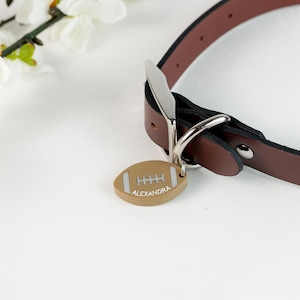Placa de identificación de fútbol, placa de identificación personalizada, regalo para mascotas, placa de identificación personalizada, placa de identificación de acrílico, cumpleaños de perro, placa de identificación para mascotas, placa de identificación única, regalos para perros